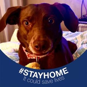 Meet your Posher, Cathy